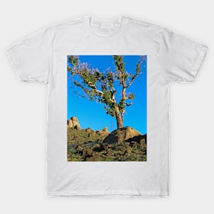 Ridge after Fire T-Shirt